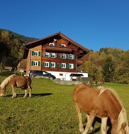 Haus Silke Apartment Silbertal Exterior photo